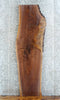 Thumbnail for Live Edge Black Walnut Side/Console Table Top Slab 39433