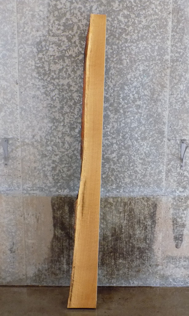 Rustic Thick Cut White Oak Partial Live Edge Mantel Wood Slab 39434