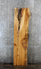 Thumbnail for Hickory Live Edge Bench/Desk/Coffee Table Slab 39441