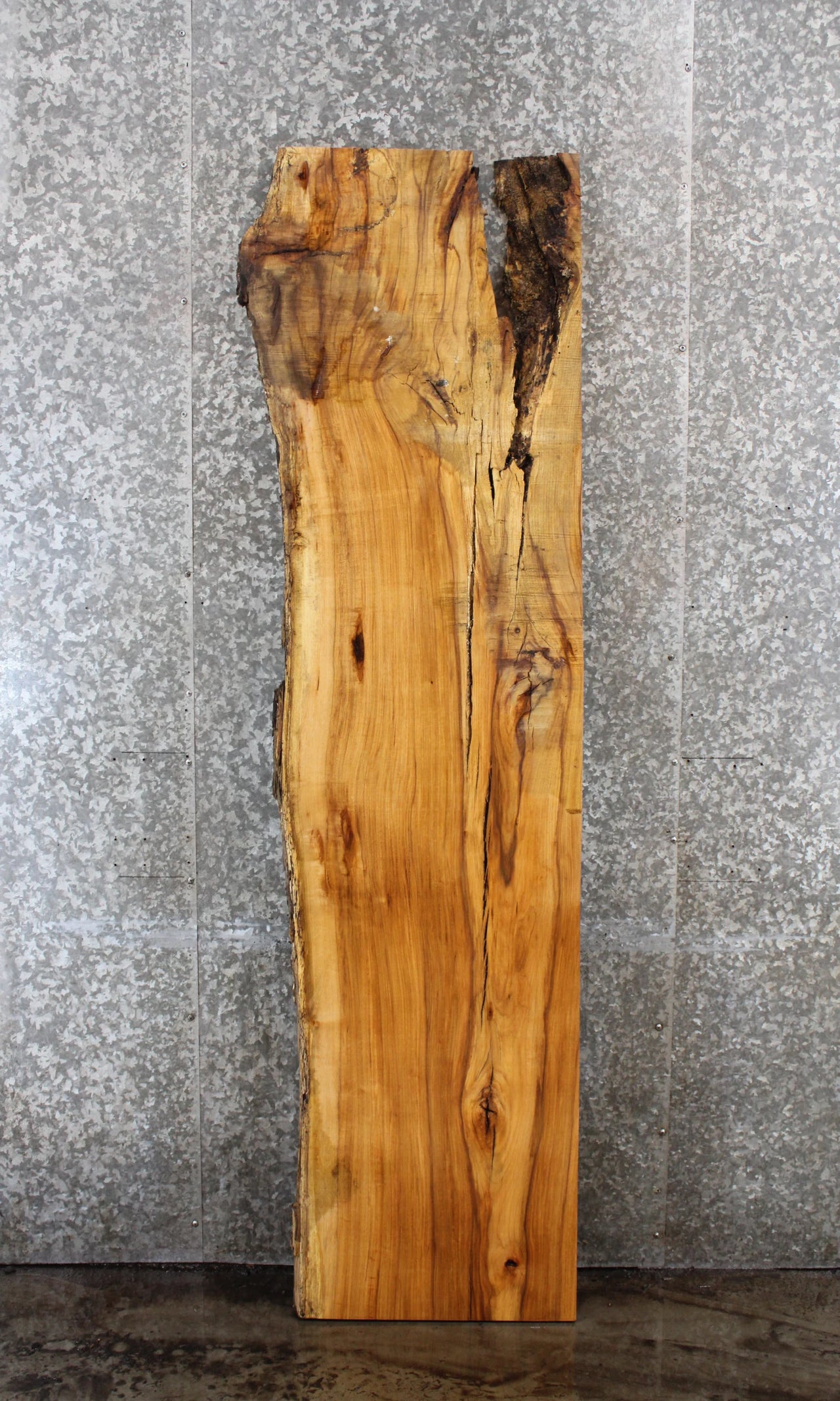 Hickory Live Edge Bench/Desk/Coffee Table Slab 39441