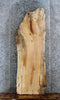 Thumbnail for Live Edge Spalted Maple Desk/Table Top Wood Slab 39442