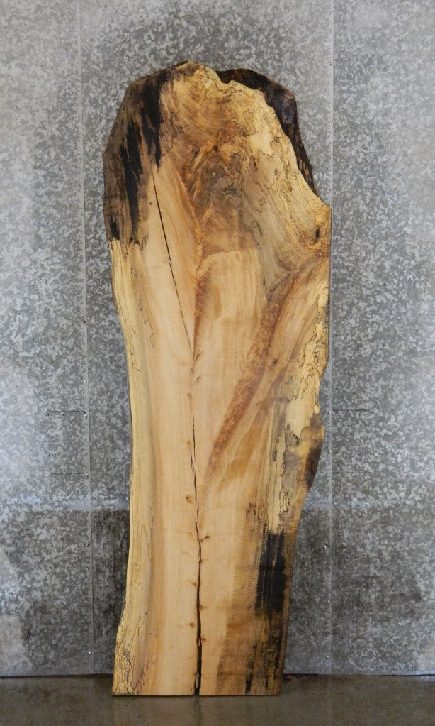 Spalted Maple Salvaged Kitchen Table Top Wood Slab CLOSEOUT 39453