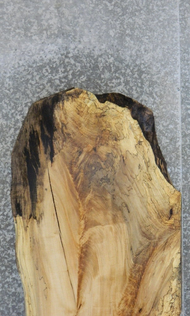 Spalted Maple Salvaged Kitchen Table Top Wood Slab CLOSEOUT 39453