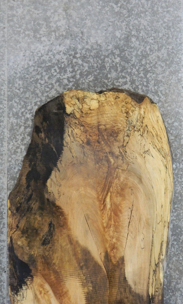 Spalted Maple Salvaged Kitchen Table Top Wood Slab CLOSEOUT 39453