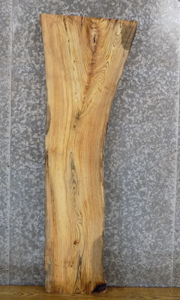Live Edge Locust Salvaged Sofa/Coffee/Accent Table Top Slab 39461