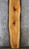 Thumbnail for Live Edge Hickory Bar Top Slab, Countertop Slab 39471