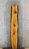 Thumbnail for Live Edge Hickory Bar Top Slab, Countertop Slab 39471