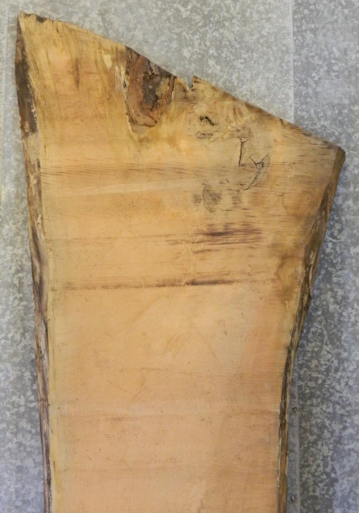 Live Edge Spalted Maple Bar Top/Head/Footboard Slab 20411