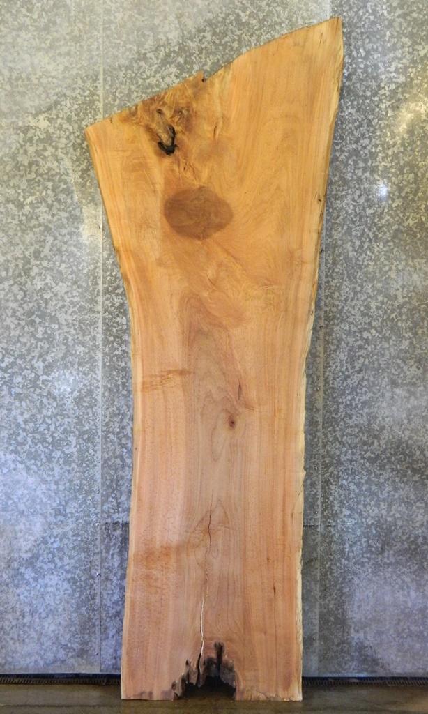 Live Edge Spalted Maple Bar Top/Head/Footboard Slab CLOSEOUT 20411
