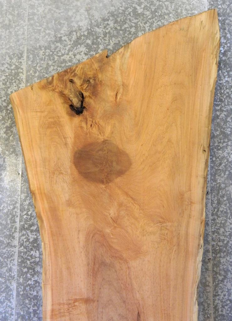 Live Edge Spalted Maple Bar Top/Head/Footboard Slab 20411