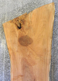 Thumbnail for Very Rustic Live Edge Spalted Maple Bar Top/Head/Footboard Slab 20411