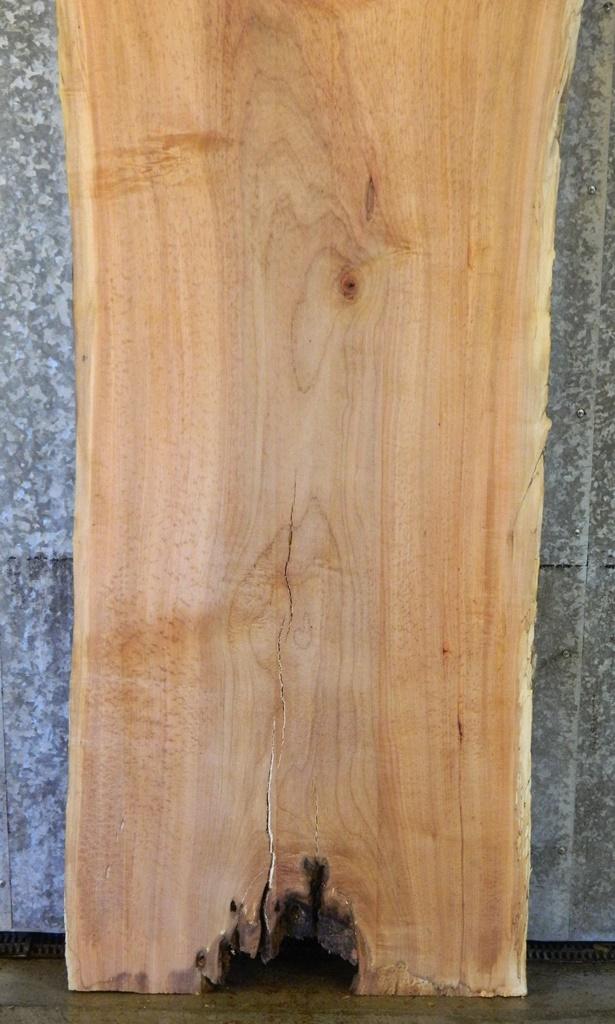 Live Edge Spalted Maple Bar Top/Head/Footboard Slab CLOSEOUT 20411