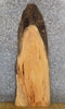 Thumbnail for Rustic Hardwood Live Edge Locust Sofa Table Top Slab 40010