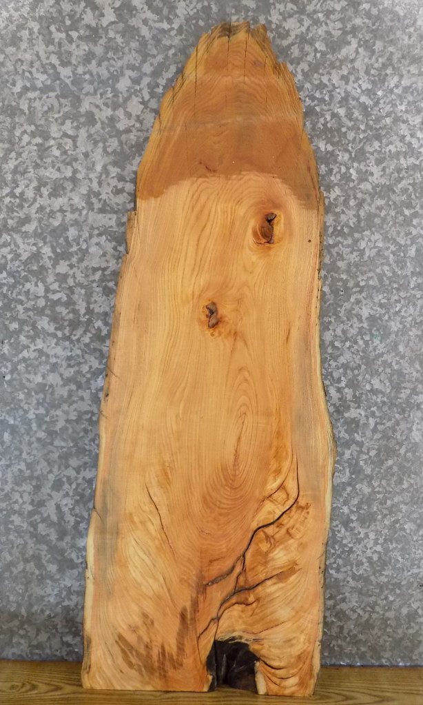 Rustic Hardwood Live Edge Locust Sofa Table Top Slab 40010