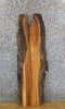Thumbnail for Live Edge Red Oak Hardwood Accent/Side Table Top Slab 40014