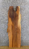Thumbnail for Live Edge Red Oak Hardwood Accent/Side Table Top Slab 40014