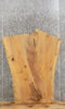 Thumbnail for Live Edge Reclaimed Ash Coffee/End/Accent Table Top Slab 40015