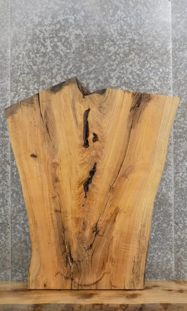 Live Edge Reclaimed Ash Coffee/End/Accent Table Top Slab 40015