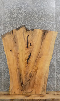 Thumbnail for Live Edge Reclaimed Ash Coffee/End/Accent Table Top Slab 40015