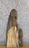 Thumbnail for Live Edge Spalted Maple Thick Cut Reclaimed End Table Top Slab 40017