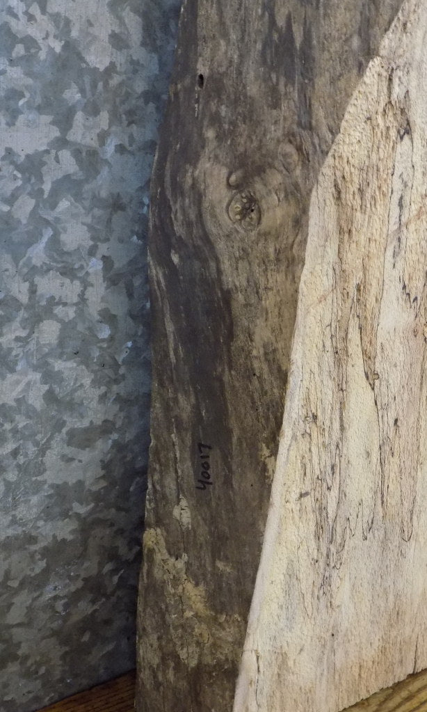 Live Edge Spalted Maple Thick Cut Reclaimed End Table Top Slab 40017