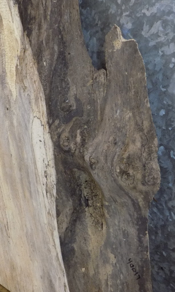 Live Edge Spalted Maple Thick Cut Reclaimed End Table Top Slab 40017