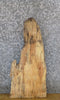 Thumbnail for Live Edge Spalted Maple Thick Cut Reclaimed End Table Top Slab 40017