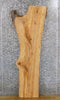 Thumbnail for Reclaimed Natural Edge Ash Coffee/Sofa Table Top Slab 40020