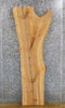 Thumbnail for Reclaimed Natural Edge Ash Coffee/Sofa Table Top Slab 40020