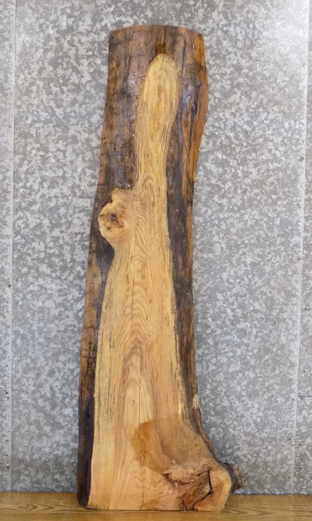 Natural Edge Ash Rustic Sofa/Coffee Table Top Wood Slab 40022