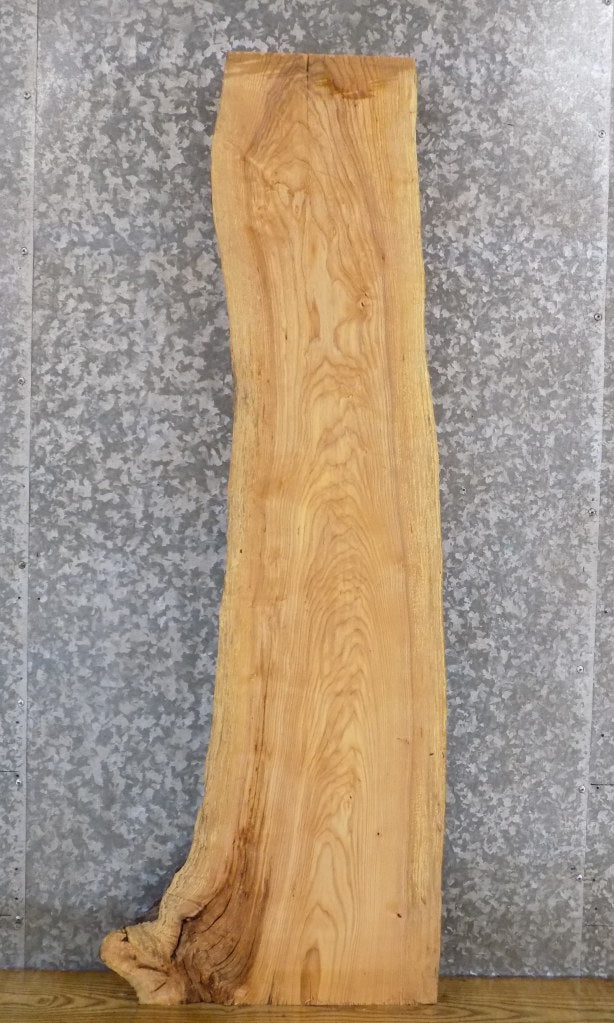 Natural Edge Ash Rustic Sofa/Coffee Table Top Wood Slab 40022