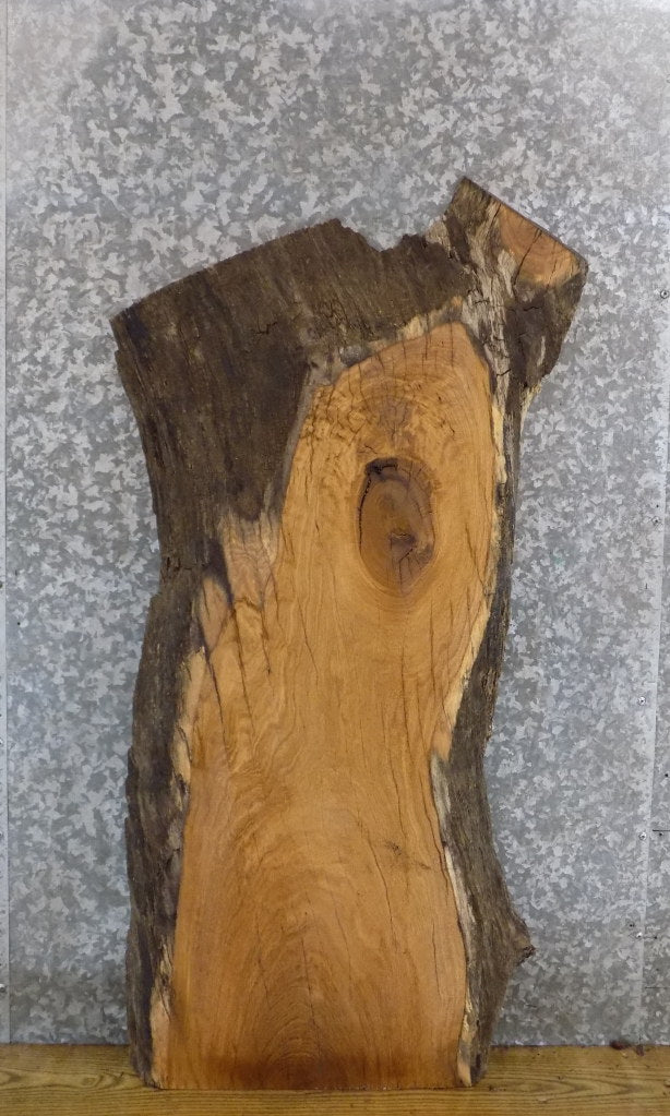 Live Edge Salvaged White Oak Coffee Table Top Slab CLOSEOUT 40026