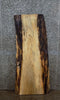 Thumbnail for Spalted Maple Live Edge Desk/Coffee Table Top Slab 40032