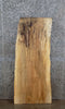 Thumbnail for Spalted Maple Live Edge Desk/Coffee Table Top Slab 40032