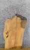Thumbnail for Thick Cut Live Edge Ash Sofa/Coffee Table Top Slab CLOSEOUT 40039