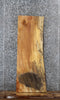 Thumbnail for Spalted Maple Live Edge Shelf/Bench/End Table Slab 40041