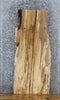Thumbnail for 2- Live Edge Spalted Maple Console/Coffee Table Top 40042