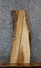 Thumbnail for Natural Edge Hardwood Ash Taxidermy Mount Slab 40047