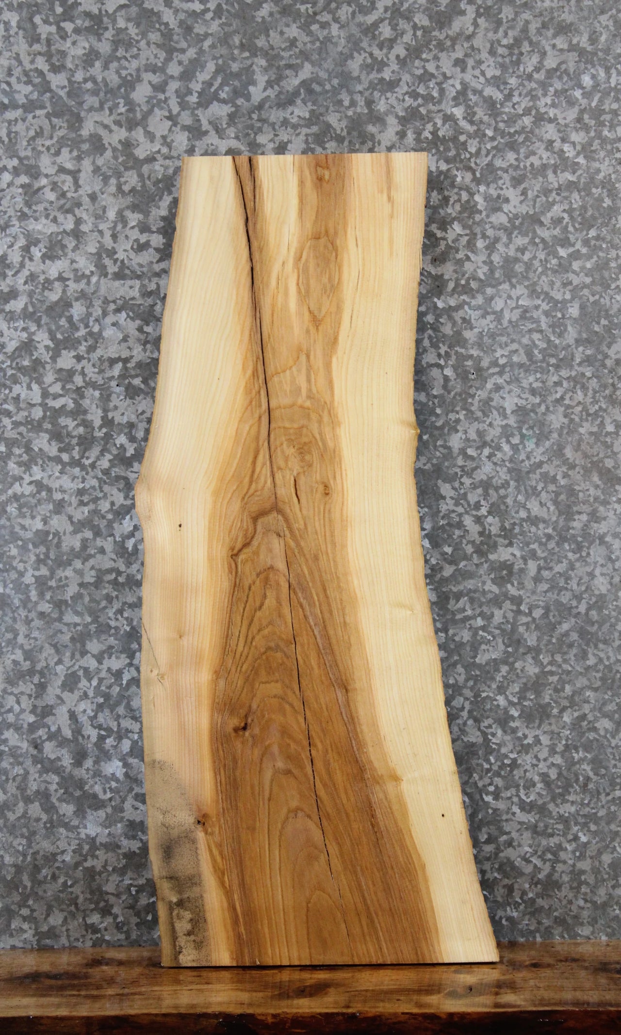 Natural Edge Hardwood Ash Taxidermy Mount Slab 40047