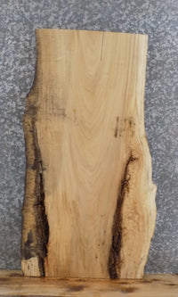 Thumbnail for Live Edge Maple Epoxy Project/Accent/Coffee Table Top Slab 40052