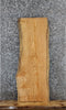 Thumbnail for Red Oak Taxidermy Slab, Live Edge Wood Slab 40052