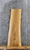 Thumbnail for Hardwood Live Edge Ash Bench Top Slab, Countertop 40057