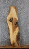 Thumbnail for Live Edge Ash Wood Slab 40058