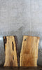 Thumbnail for 2- Live Edge Spalted Maple Coffee Table Top Wood Slabs 40059-40060