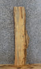 Thumbnail for Live Edge Reclaimed Hackberry Bar Top/Mantle/Wall Shelf Slab 40062