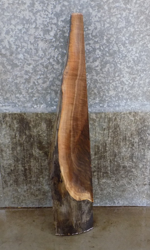Thick Cut Rustic Black Walnut Partial Live Edge Mantel Slab 40063