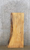 Thumbnail for Live Edge Ash Mantle/Accent/Coffee Table Top Slab CLOSEOUT 40067