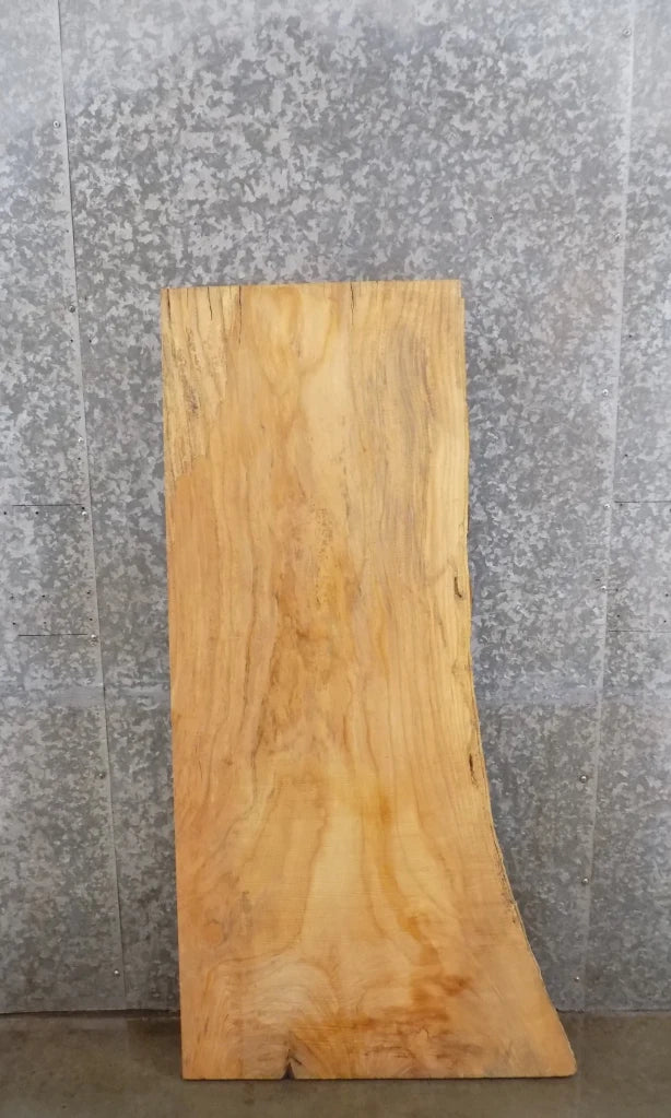 Live Edge Ash Mantle/Accent/Coffee Table Top Slab CLOSEOUT 40067