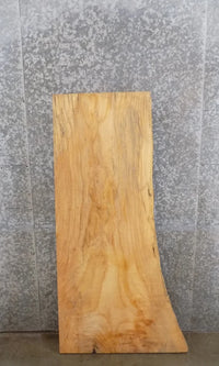Thumbnail for Live Edge Ash Mantle/Accent/Coffee Table Top Slab CLOSEOUT 40067