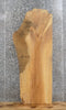 Thumbnail for Live Edge Hardwood Ash Slab, Wood Table Top 40076